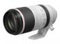 Mobile Preview: Canon RF 100-500mm 45,-7,1 L IS USM